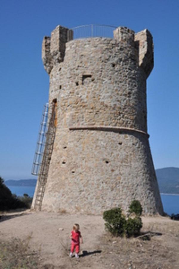 Casa Di Petru Anto Διαμέρισμα Serra-di-Ferro  Εξωτερικό φωτογραφία